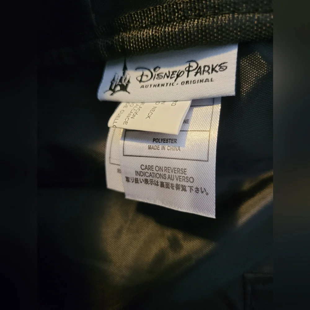 Disney park item